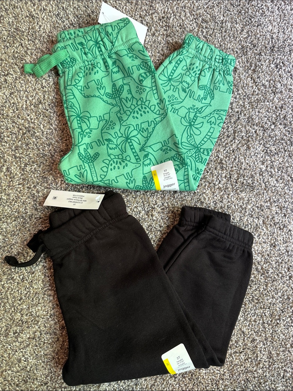 wonder nation Green Dino Print & Black Joggers Set